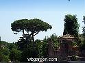 wbgarden roma pines 112